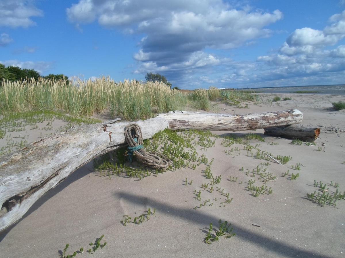 Tihase Puhkemajake Pärnu Exterior photo